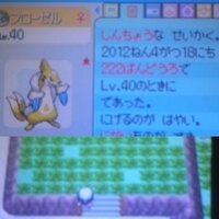 ポケモンパールでポケトレ使用でモココを捕まえようと222番道路に Yahoo 知恵袋