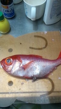 魚のエラはどうして取り除いたほうがよいのですか よく 料理番組や雑誌な Yahoo 知恵袋
