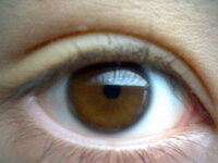 この目の瞳って茶色いんですか 私的には黒いと思うのですが 茶色いです Yahoo 知恵袋