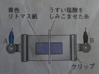 酸 アルカリのリトマス紙を使って真ん中に塩酸を染み込ませた糸を置 Yahoo 知恵袋