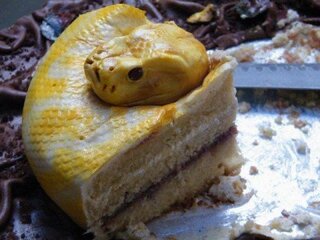 1000以上 グロ い ケーキ 写真で食べ物やケーキのコレクション