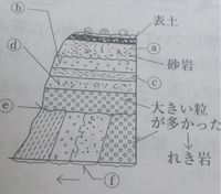 中学理科の質問です 地層についてfはカニのすみ穴がありました すみ穴の様子 Yahoo 知恵袋