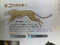 人間が他の動物と比べて足が遅い理由は 直立二足歩行だからですよね Yahoo 知恵袋