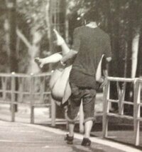 佐藤健にお姫様抱っこされている前田敦子の写真 佐藤健の心のコメン Yahoo 知恵袋