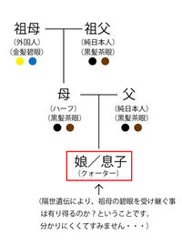 両親が黒髪黒目 母は金髪碧眼の祖母と日本人の祖父との間に出来たハ Yahoo 知恵袋