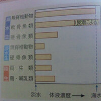 Myfirststoryというバンドの曲なんですけど 花 071 Yahoo 知恵袋