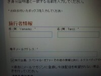先日expediaにて航空券の予約をしたのですが 名前の登録 Yahoo 知恵袋