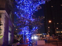 福岡県民に男顔の女性が多いのは何故でしょうか 検索用 筑前筑後 Yahoo 知恵袋