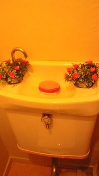 トイレのインテリアのアドバイスをお願いします 100均の花を両脇2つ購入です 教えて 住まいの先生 Yahoo 不動産