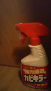 カビを見えるくらいに吸い込んだのですが 数分前に古い物置 Yahoo 知恵袋