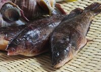 鹿児島県や熊本県で釣った魚を買い取ってもらえる所知りませんか 良く鹿児島の Yahoo 知恵袋