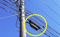 電柱の横に斜めにかかっている 黄色いカバーがかかっているワイヤ Yahoo 知恵袋