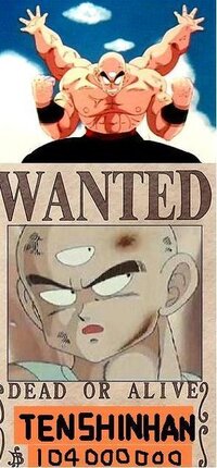 ドラゴンボール 天津飯は ハナハナの実の能力者ですか Yahoo 知恵袋