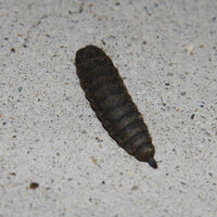 ポケモンホワイトについてひウンシティのビルの１１階にミスターロックという Yahoo 知恵袋