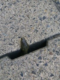 庭でヘビの赤ちゃんを捕まえたので飼育してみようと思っているのです Yahoo 知恵袋