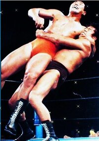 あなたはプロレスでの急所攻撃についてどう思われますか 以前日本人の選手は外 Yahoo 知恵袋