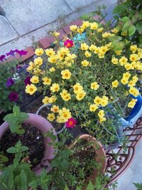 下着を履き替える頻度について みなさんは下着はどのくらいの頻 Yahoo 知恵袋