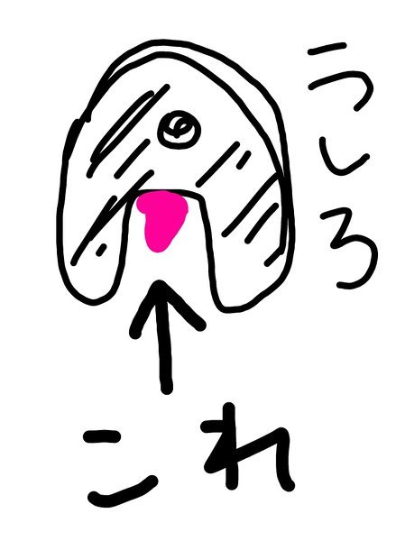 猫の膣からピンク色の肉が出ています。膣が漏れていて少し尿の臭いがし 