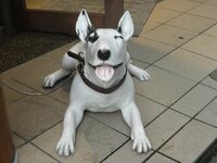 あえて気軽に聞きます 一人っ子は一人っ子でよかったー と思う瞬 Yahoo 知恵袋