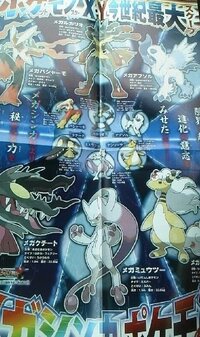 ポケモンxyについて メガルカリオの特性 適応力についてくわしく教えてくださ Yahoo 知恵袋