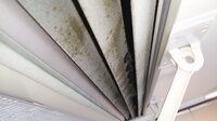 部屋の天井のカビ取り部屋の天井のカビ取りをしたいのですが どのよう Yahoo 知恵袋
