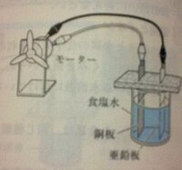 ナズナは 合弁花類ですか それとも離弁花類ですか ナズナはアブラナ科で Yahoo 知恵袋