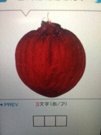 野菜 果物 の名前 この紫玉ねぎみたいな野菜 果物 の名前を教 Yahoo 知恵袋