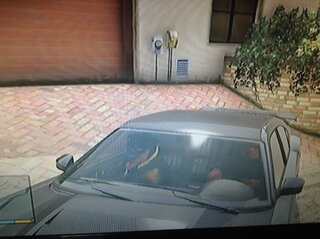 Gta5チョップと散歩に行きたいのですが 整備された公園などはどこにあります Yahoo 知恵袋