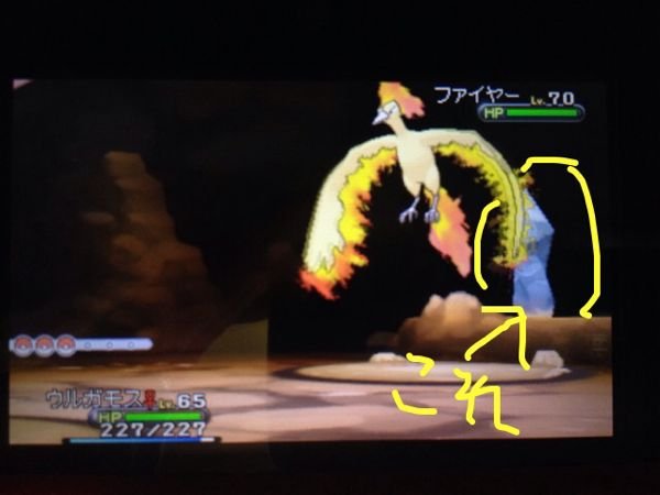 ポケモン Xy フリーザー 厳選 シモネタ