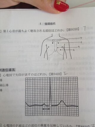 看護師国家試験を勉強しています 第1心音が最もよく聴取される部位はどれかとい Yahoo 知恵袋