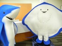 エプソンのキャラで エイさん と ちいサメ はどちらがかわいいです Yahoo 知恵袋