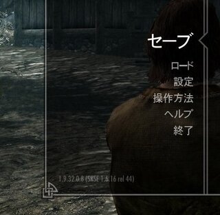 Skyrimがskseからは問題なく起動できるのですがnmmからs Yahoo 知恵袋