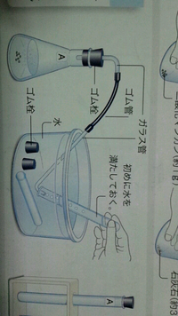 太陽が東西どちらから昇るのか未だに覚えられません 今朝みん Yahoo 知恵袋