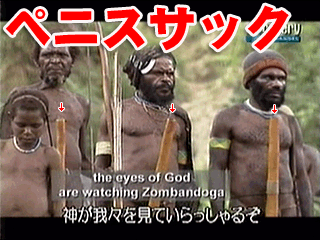 アフリカ原住民や南アメリカ原住民やオーストラリア原住民らは テクノロジーが高 Yahoo 知恵袋
