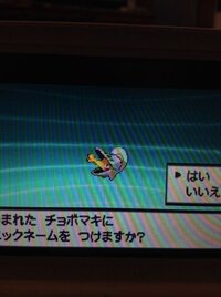 ポケモンのホワイトでチョボマキの色違いが産まれました育てそたいんですが努力値 Yahoo 知恵袋