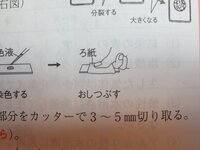 中学理科について質問します 細胞分裂の実験の問題で 根の先端 Yahoo 知恵袋