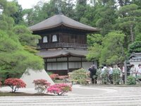 ポスターカラーでの花の塗り方を教えてください 写真の左下にあるピン Yahoo 知恵袋