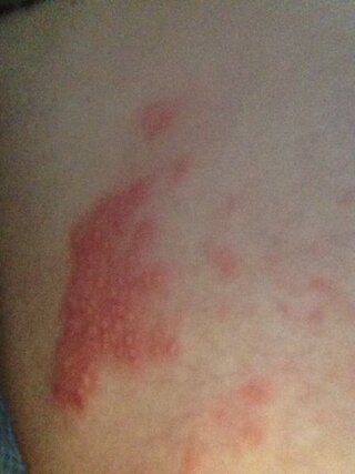 奴隷 確かな 構成員 脇腹 ほくろ たくさん Matsuikensetsu Kushiro Jp