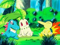 ポケモンｂｗ２ｐｗｔでジョウトジムリーダーが使うパーティを教えて Yahoo 知恵袋