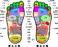 足つぼマッサージ機を使用してていつも思うのですが 足にあるツボを図解した Yahoo 知恵袋