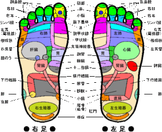 足 つぼ 痛い とこ 足 足の裏で健康診断