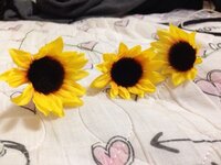 けいおん 14話でバンド名を決める所で みんなバラバラ言うんですがみんなは何と Yahoo 知恵袋