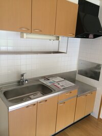 キッチンをdiyしたいです この画像の扉の所には貼ってはがせる壁紙 賃貸なので 教えて 住まいの先生 Yahoo 不動産