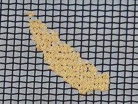 最近 家の網戸や洗濯物に虫の卵らしきものがついています これが何の虫の卵か Yahoo 知恵袋