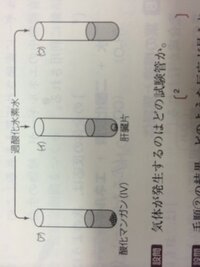 Q 無機触媒 酸化マンガン と酵素 カタラーゼ の違いは Yahoo 知恵袋