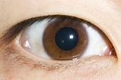 自分の目で下記の画像のように 瞳孔 元の黒色のまま が最大まで開いた写真を取 Yahoo 知恵袋