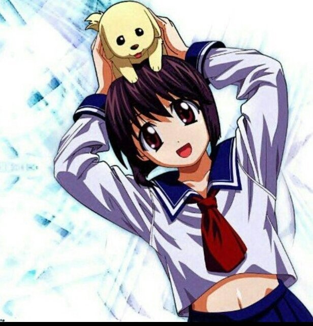 エルフェンリート 犬