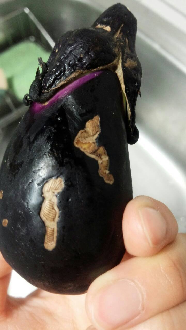 ナスの表面模様について教えてください。写真のようなものは傷ですか