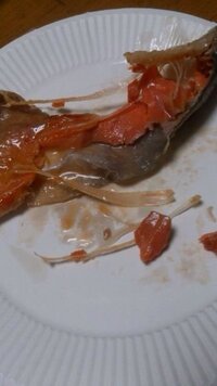 鮭の焼き加減が分からない魚を焼く時 赤いところがなければ焼けていると判断して Yahoo 知恵袋