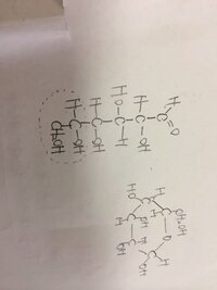 コインありますグルコースの書き方について 環状については問題なくかけるの Yahoo 知恵袋